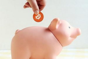 Bitcoin Investing for Beginners