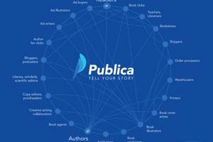 Publica ICO: Evaluation and Analysis