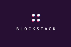 Blockstack ICO: Evaluation and Analysis