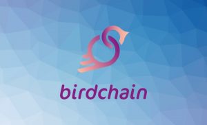 Birdchain ICO