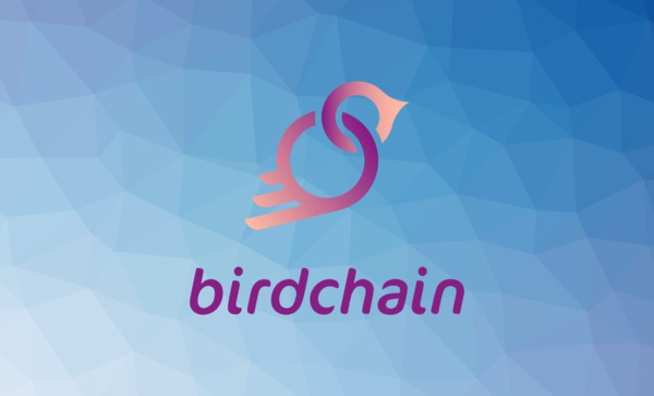 Birdchain ICO Evaluation and Analysis