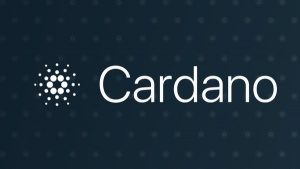 Cardano evaluation