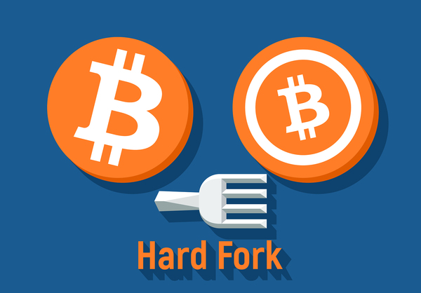 are all altcoins from forks