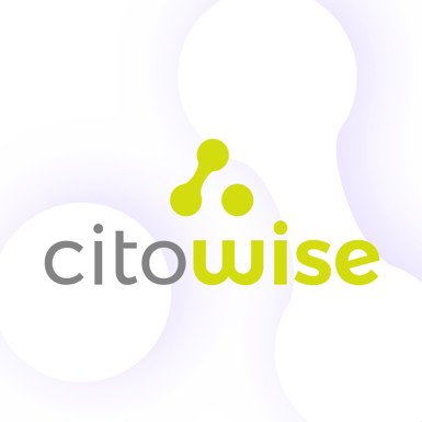 Citowise logo
