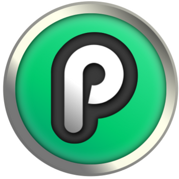 Playchip logo
