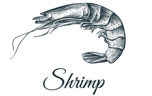 Pray for shrimp