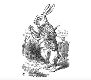 Illustration of a rabbit with a topcoat.