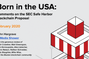 The SEC Safe Harbor Blockchain Proposal (+ Downloadable Guide)