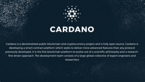cardano blockchain netherlands