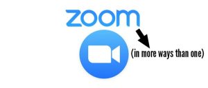 Zoom video icon