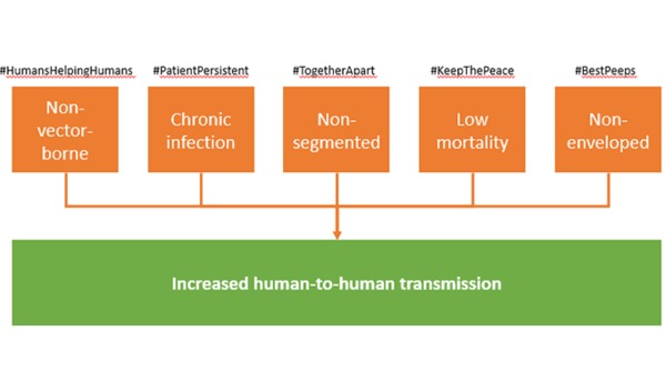 Human to human transmission