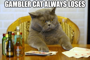 Gambler cat always loses