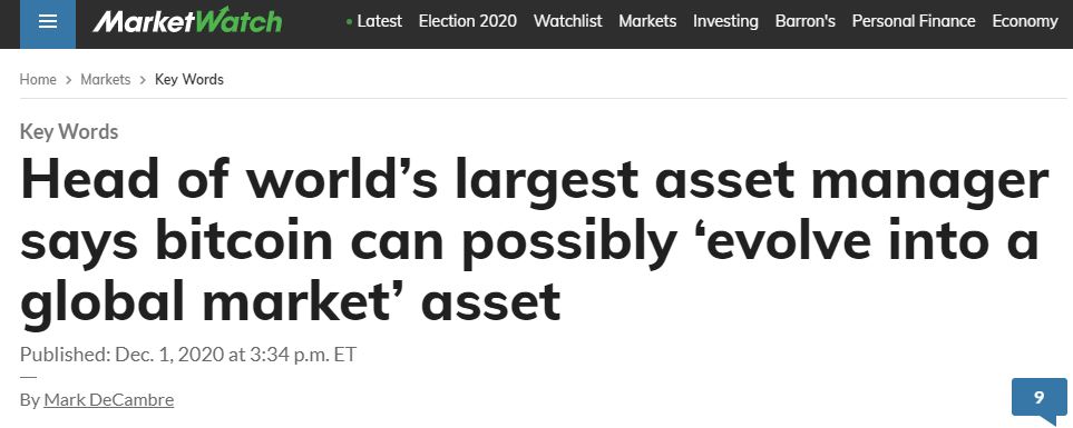 Head of world’s largest asset manager says bitcoin can possibly ‘evolve into a global market’ asset