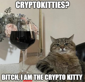 crypto-kitty