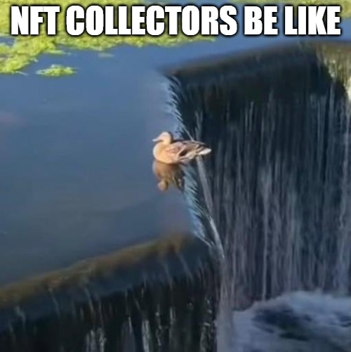 meme-waterfall