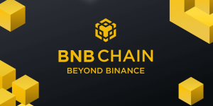 binance smart chain module