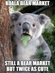 koala bear market