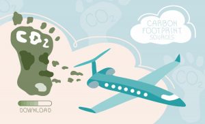 carbon footprint of an airplane